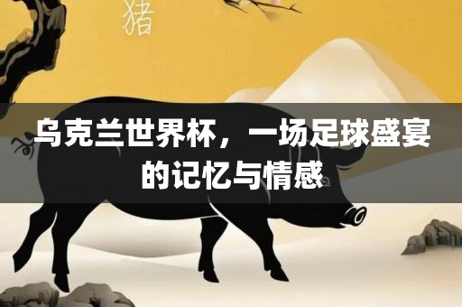 乌克兰世界杯，一场足球盛宴的记忆与情感