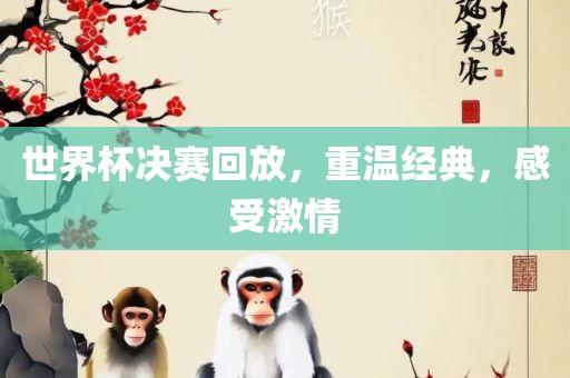 世界杯决赛回放，重温经典，感受激情眉山市正发家政服务有限公司