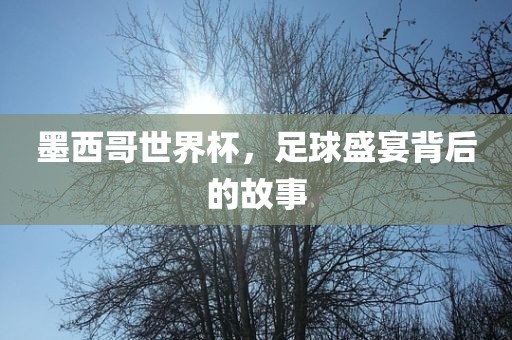 墨西哥世界杯，足球盛宴背后的故事