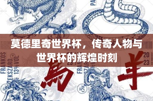 莫德里奇世界杯，传奇人物与世界杯的辉煌时刻