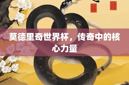莫德里奇世界杯，传奇中的核心力量眉山市正发家政服务有限公司