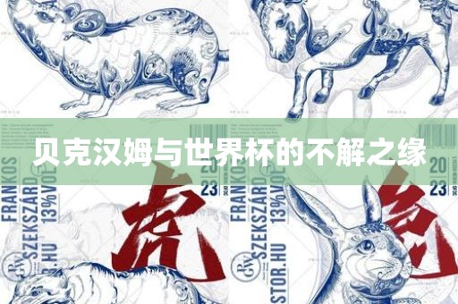 贝克汉姆与世界杯的不解之缘