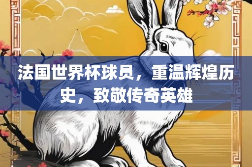 法国世界杯球员，重温辉煌历史，致敬传奇英雄