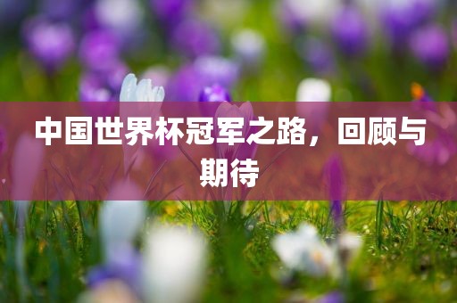 中国世界杯冠军之路，回顾与期待眉山市正发家政服务有限公司