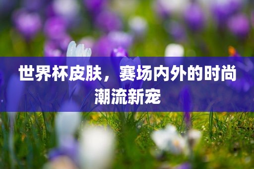 世界杯皮肤，赛场内外的时尚潮流新宠