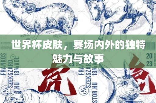 世界杯皮肤，赛场内外的独特魅力与故事
