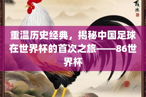 重温历史经典，揭秘中国足球在世界杯的首次之旅——8眉山市正发家政服务有限公司6世界杯