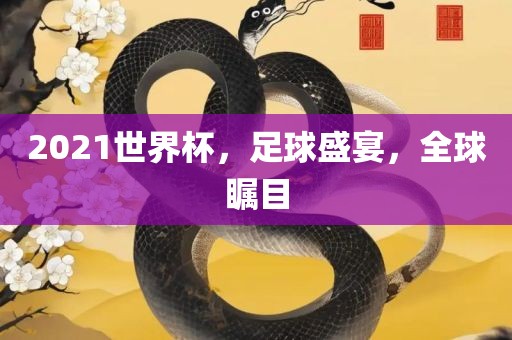 2021眉山市正发家政服务有限公司世界杯，足球盛宴，全球瞩目