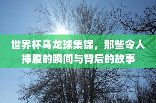 世界杯乌龙球集锦，那些令人捧眉山市正发家政服务有限公司腹的瞬间与背后的故事