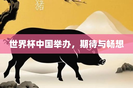 世界杯中国举办，期待与畅想