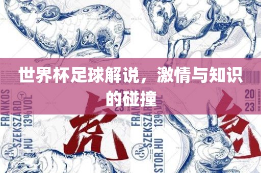 世界杯足球解说，激情与知识的碰撞
