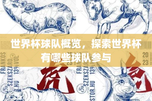世界杯球队概览，探索世界杯有哪些球队参与