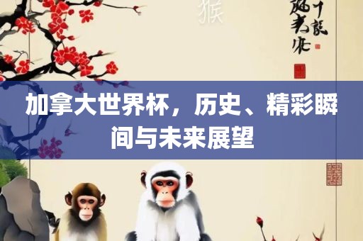 加拿大世界杯，历史、精彩瞬间与未眉山市正发家政服务有限公司来展望