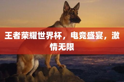 王者荣耀世界杯，电竞盛宴，激情无限
