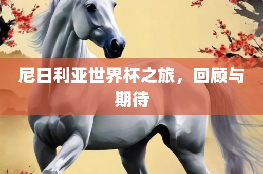 meinan 第10页