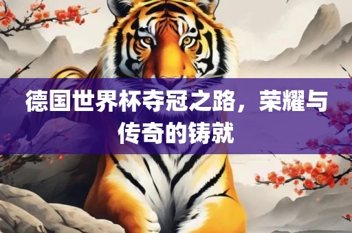 德国世界杯夺冠之路，荣耀与传奇的铸就眉山市正发家政服务有限公司