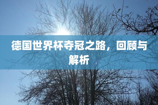德国世界杯夺冠之路，回顾与解析