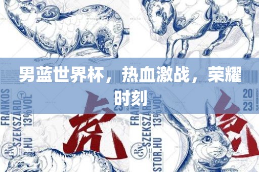 男蓝世界杯，热血激战，荣耀时刻