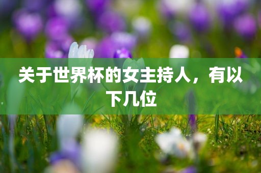 bingwei 第8页