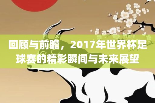 回顾与前瞻，20眉山市正发家政服务有限公司17年世界杯足球赛的精彩瞬间与未来展望