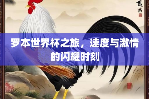 罗本世界杯之旅，速度与激情的闪耀时刻