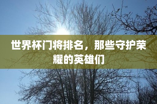 世界杯门将排名，那些守护荣耀的英雄们