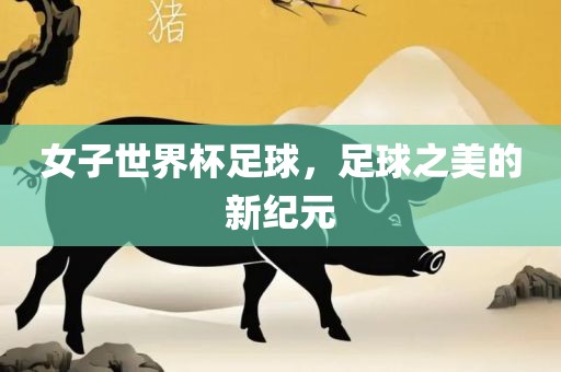 女子世界杯足球，足球之美的新纪元眉山市正发家政服务有限公司