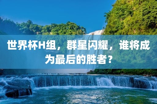 世界杯H组，群星闪耀，谁将成为最后的胜者？