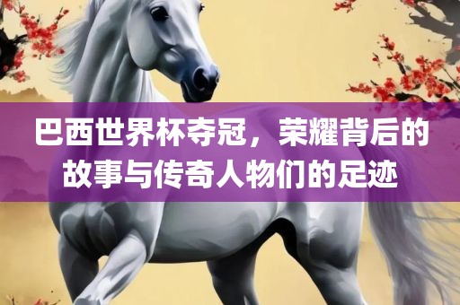 巴西眉山市正发家政服务有限公司世界杯夺冠，荣耀背后的故事与传奇人物们的足迹
