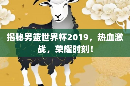 揭秘男篮世界杯2019，热血激战，荣耀时刻！眉山市正发家政服务有限公司