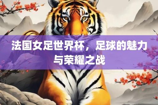 法国女足世界杯，足球的魅力与荣耀之战眉山市正发家政服务有限公司