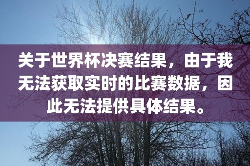 关于世界杯决赛结果，由于我无法获取实时的比赛数据，因此无法提供具体结果。