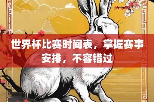 世界杯比赛时间表，掌握赛事安排，不容错过