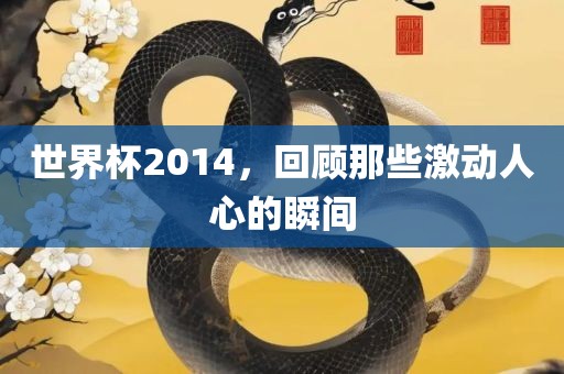 世界杯2014，回顾那些激动人心的瞬间