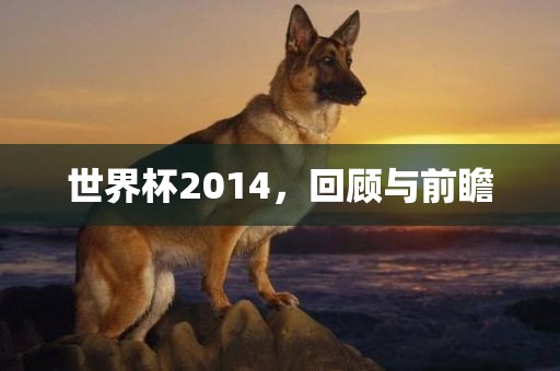 世界杯2014，回顾与前瞻