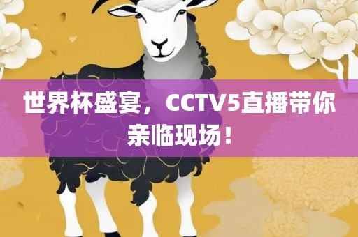 世界杯盛宴，CCTV5直播带你亲临现场！眉山市正发家政服务有限公司