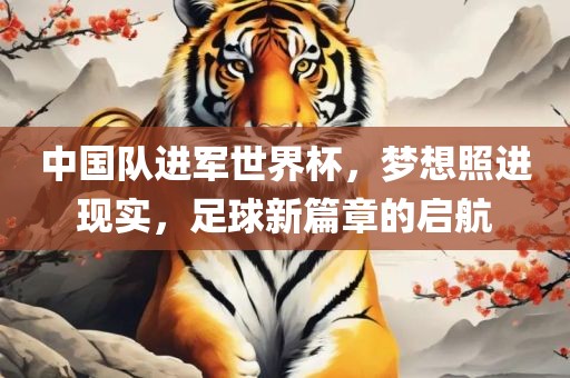 中国队进军世界杯，梦想照进现实，足球新篇章的启航眉山市正发家政服务有限公司
