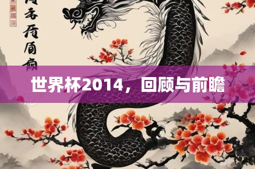 世界杯2014，回顾与前瞻