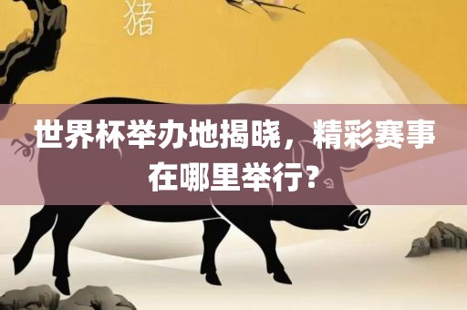世界杯举办地揭晓，精彩赛事在哪里举行？