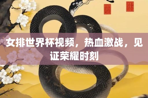 女排世界杯视频，热血激战，见证荣耀时刻