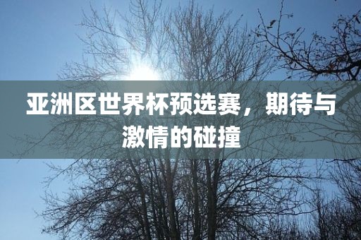 亚洲区世界杯预选赛，期待与激情的碰撞