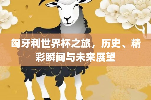 匈牙利眉山市正发家政服务有限公司世界杯之旅，历史、精彩瞬间与未来展望
