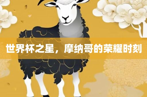 世界杯之星，摩纳哥的荣耀时刻眉山市正发家政服务有限公司