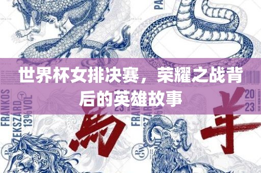 世界杯女排决赛，荣耀之战背后的英雄故事