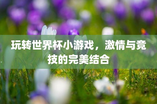 玩转世界杯小游戏，激情与竞技的完美结合