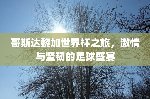 哥斯达黎加世界杯之旅，激情与坚韧的足球盛宴