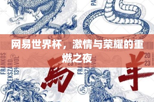 网易世界杯，激情与荣耀的重燃之夜眉山市正发家政服务有限公司