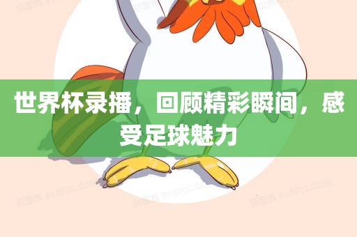 世界杯录播，回顾精彩瞬间，感受足球魅力眉山市正发家政服务有限公司