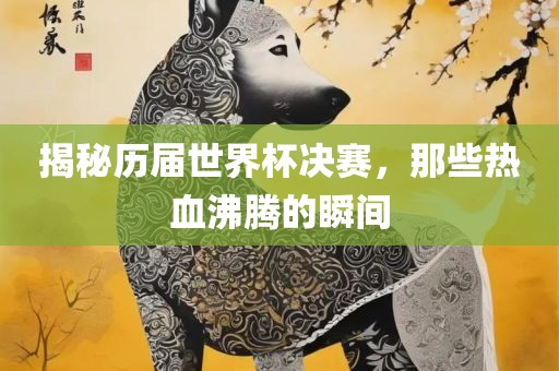 揭秘历届世界杯决赛，那些热血沸腾的瞬间