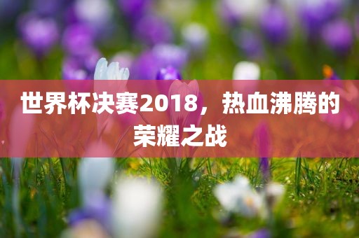 世界杯决赛2018，热血沸腾眉山市正发家政服务有限公司的荣耀之战
